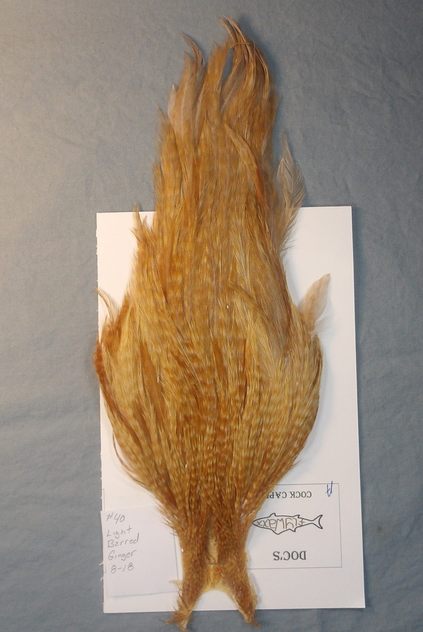 Doc's Cock Cape # 40