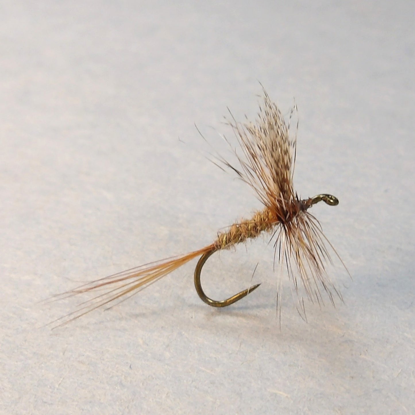 Atherton March Brown Dry ( yellow silk rib)