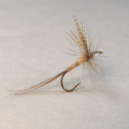 Atherton Hendrickson Dry