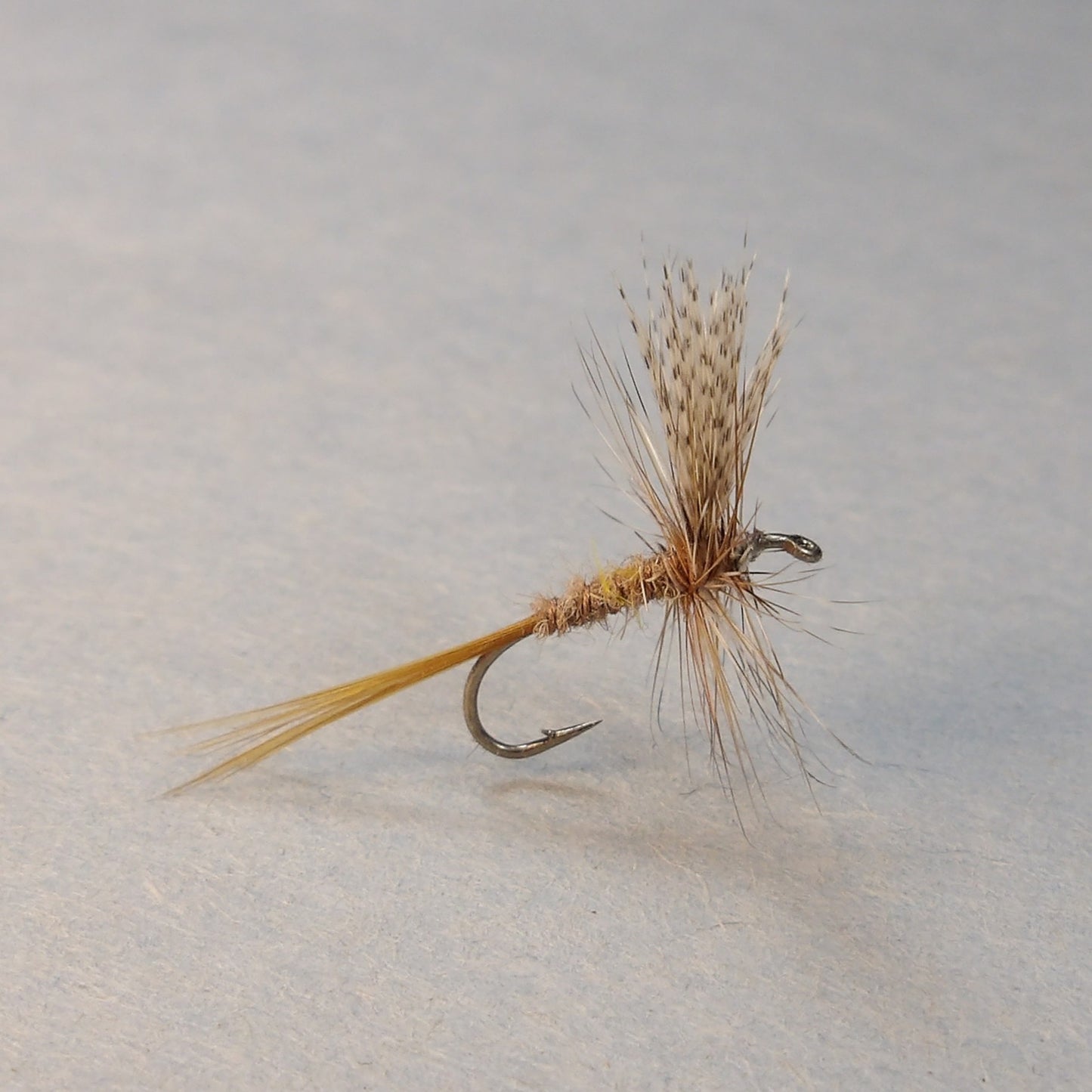 Atherton March Brown Dry ( Brown Ribbed)