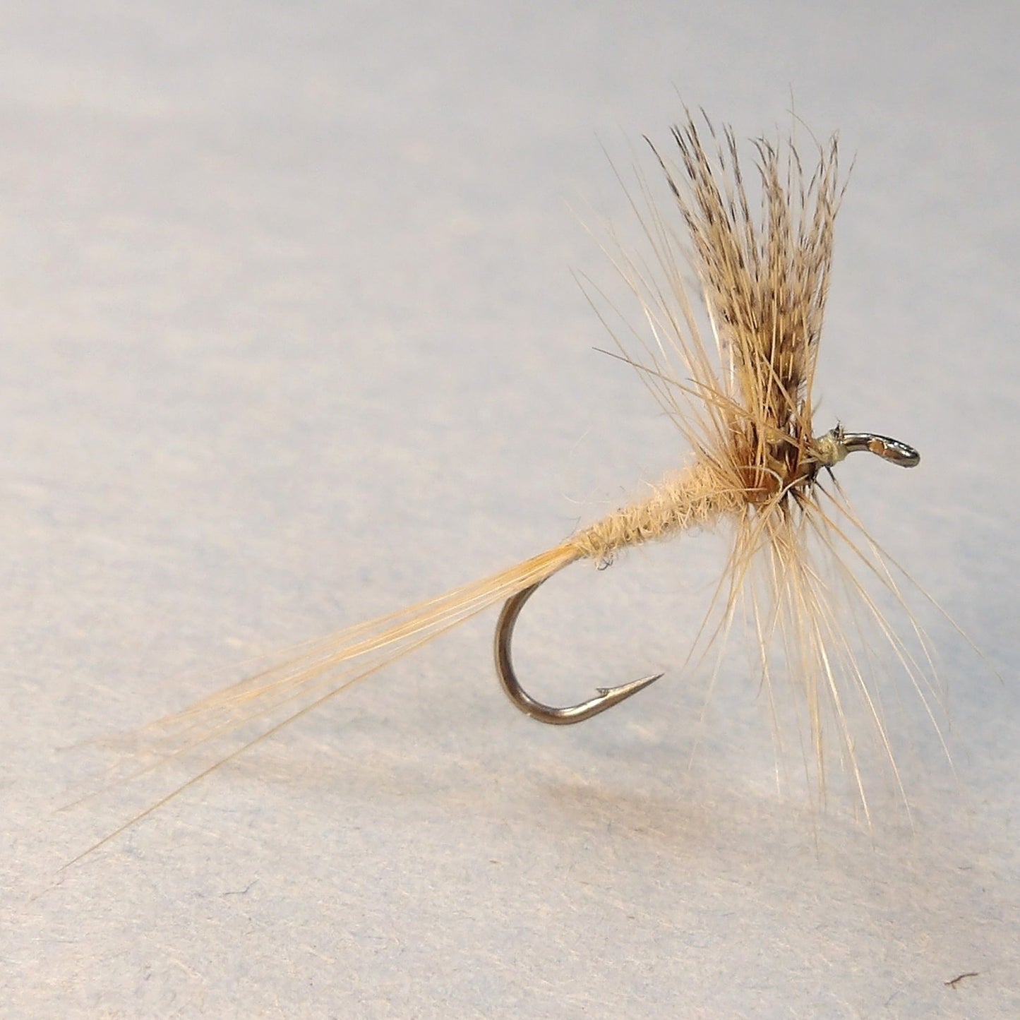 Atherton Light Cahill Dry