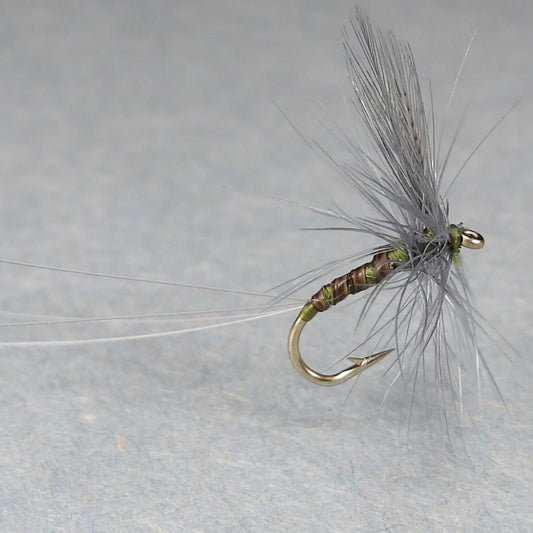 Blue Wing Olive Quill Body