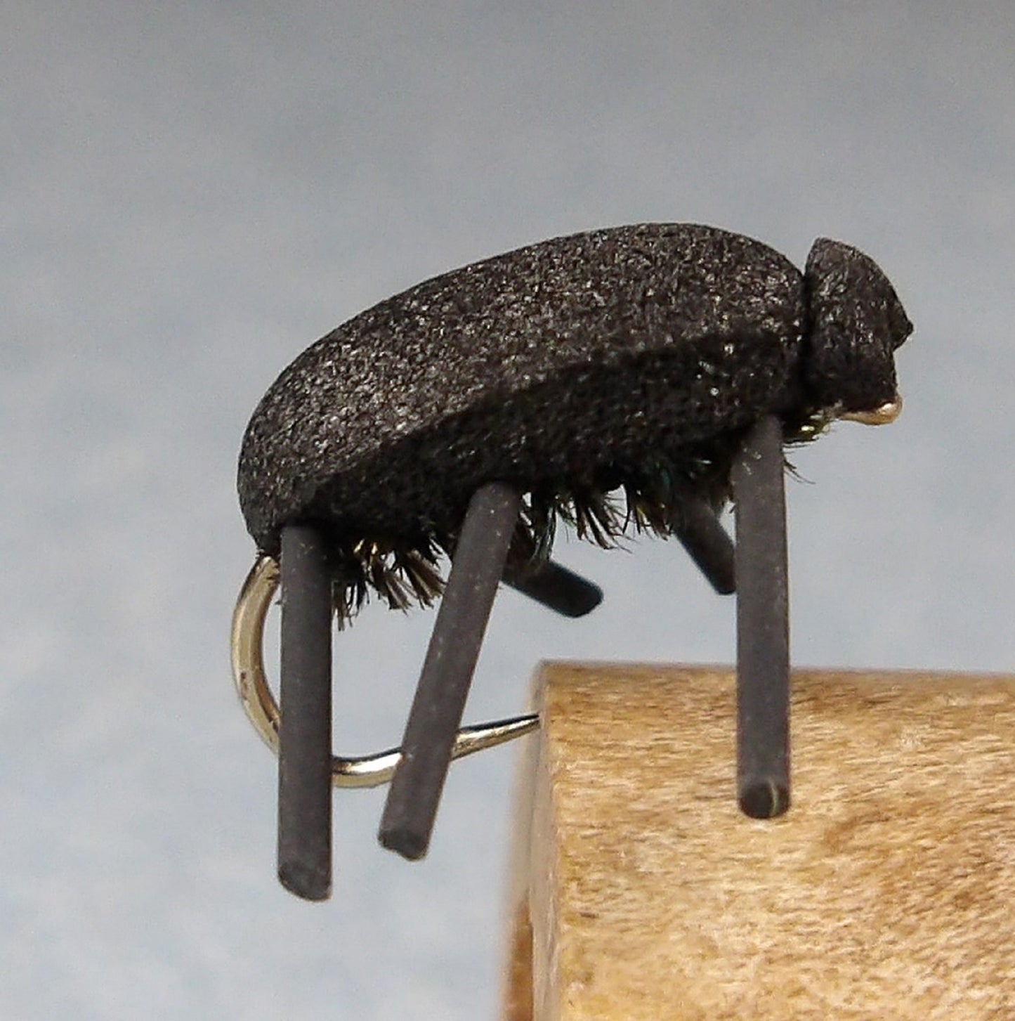 Black Foam Beetle
