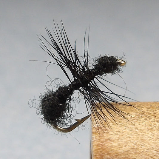 Black Fur Ant