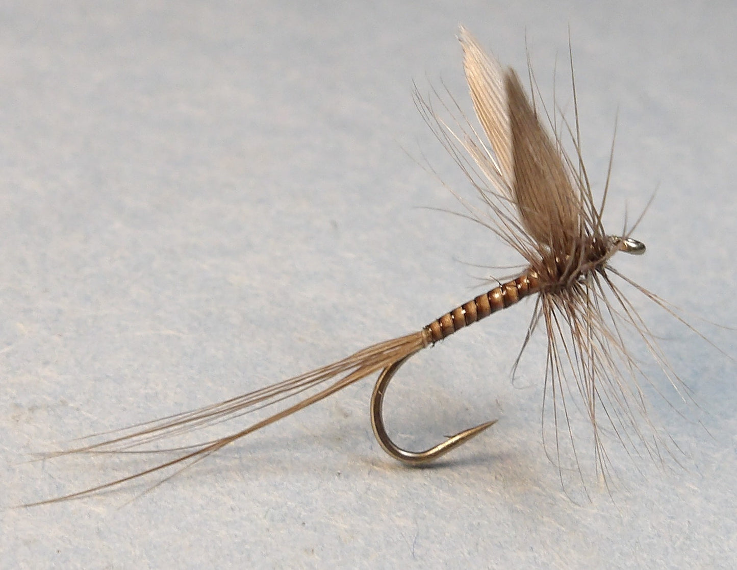 X-Large Peacock Eye Sticks