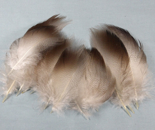 Bronze Mallard Flank