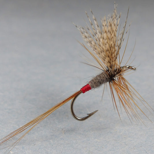 Iron Blue Dun ( Variant)