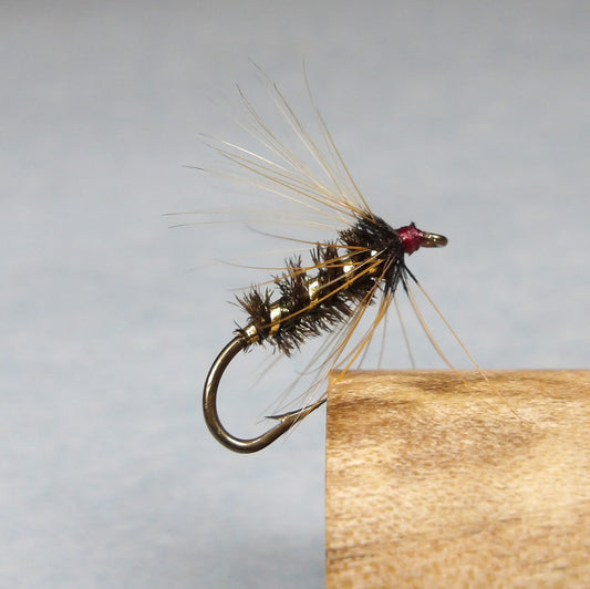 Brown Hackle