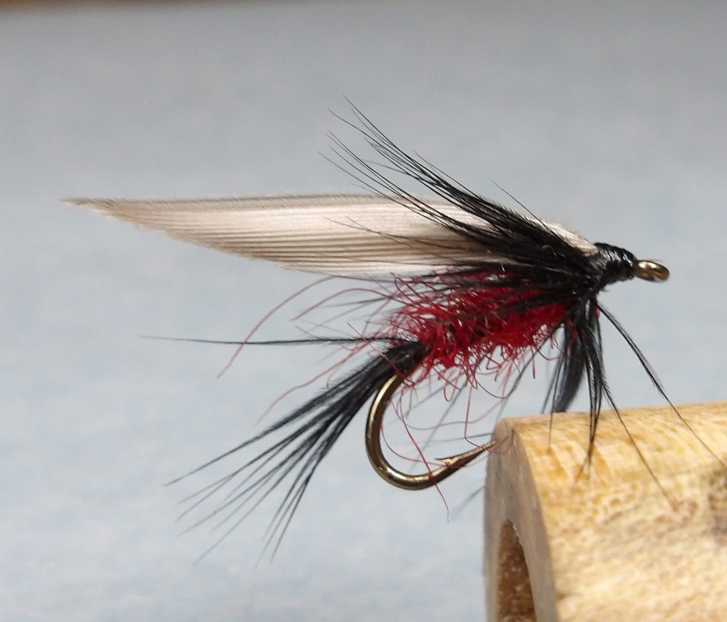 Claret Gnat