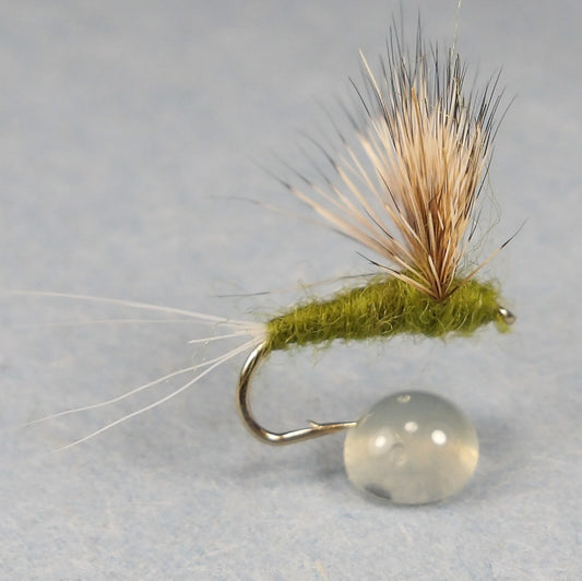 Callabaetis Comparadun