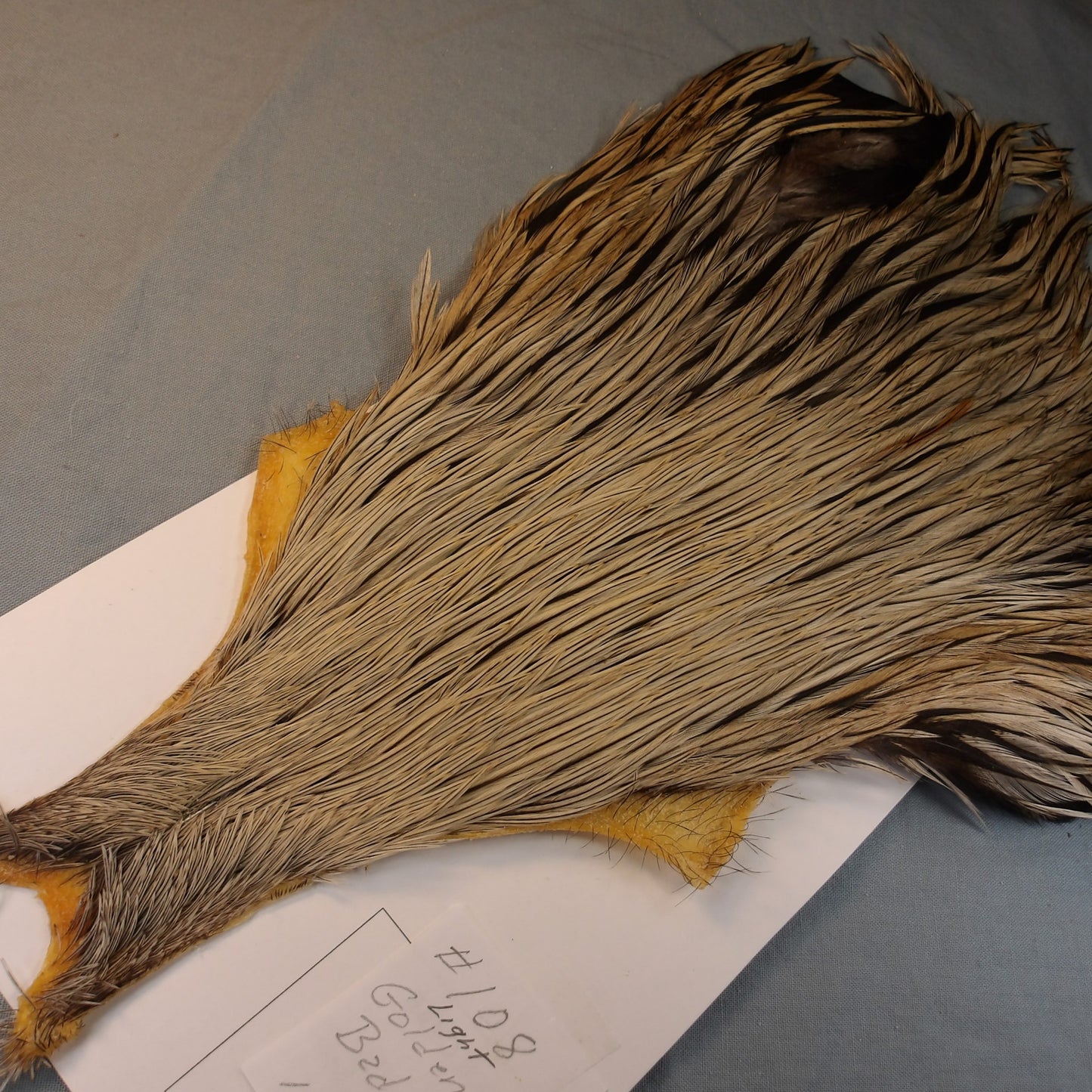 Doc's Rooster Cape # 108 Light Golden badger