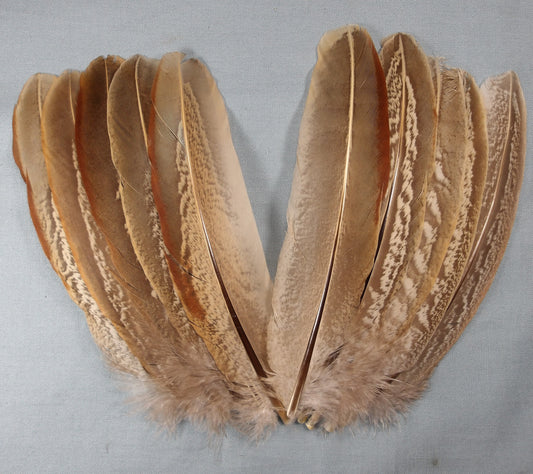Cock Pheasant Wing Quills