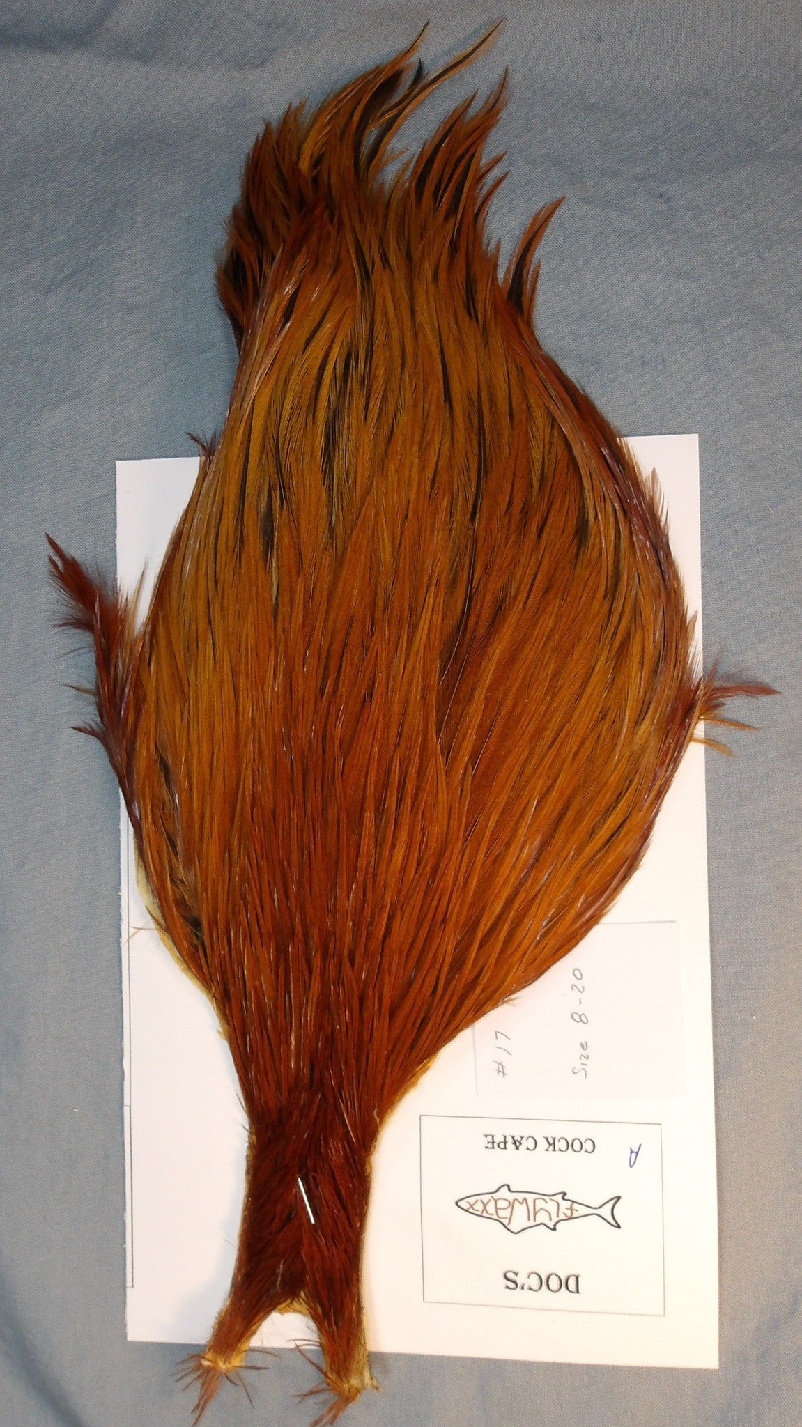 Doc's Cock Cape: #17 Ginger