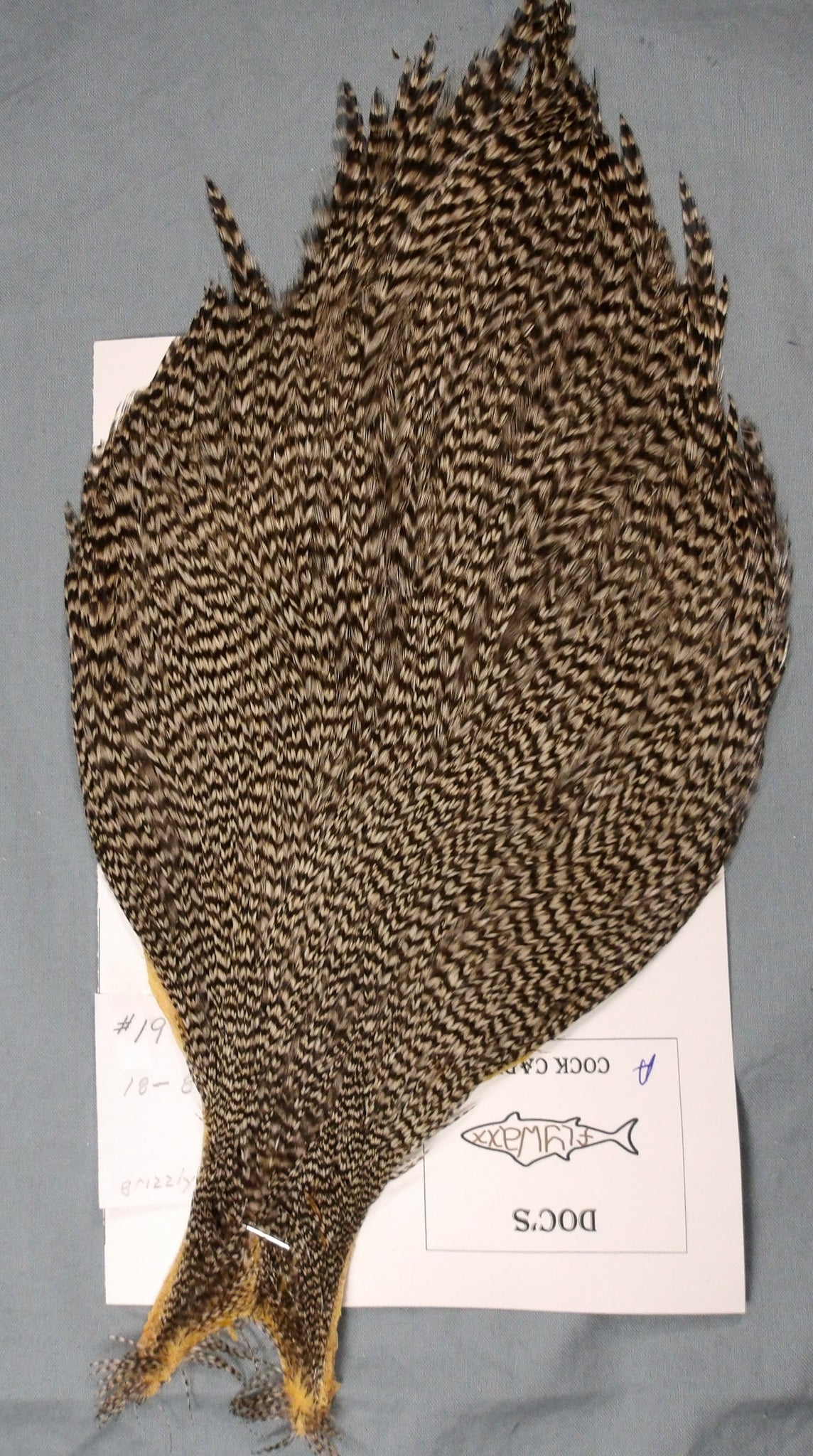 Doc's Cock Cape #19 Grizzly