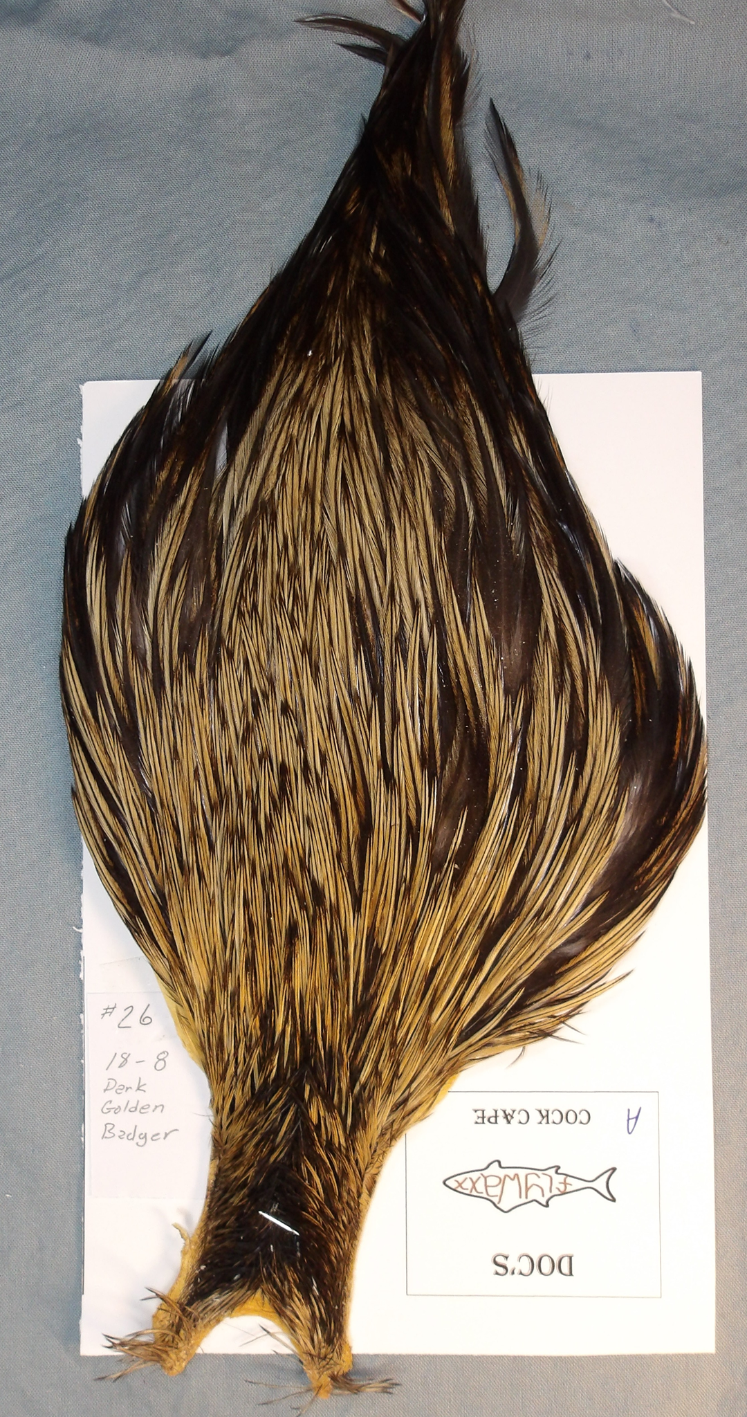 Doc's Cock Cape: #26 Dark Golden Badger