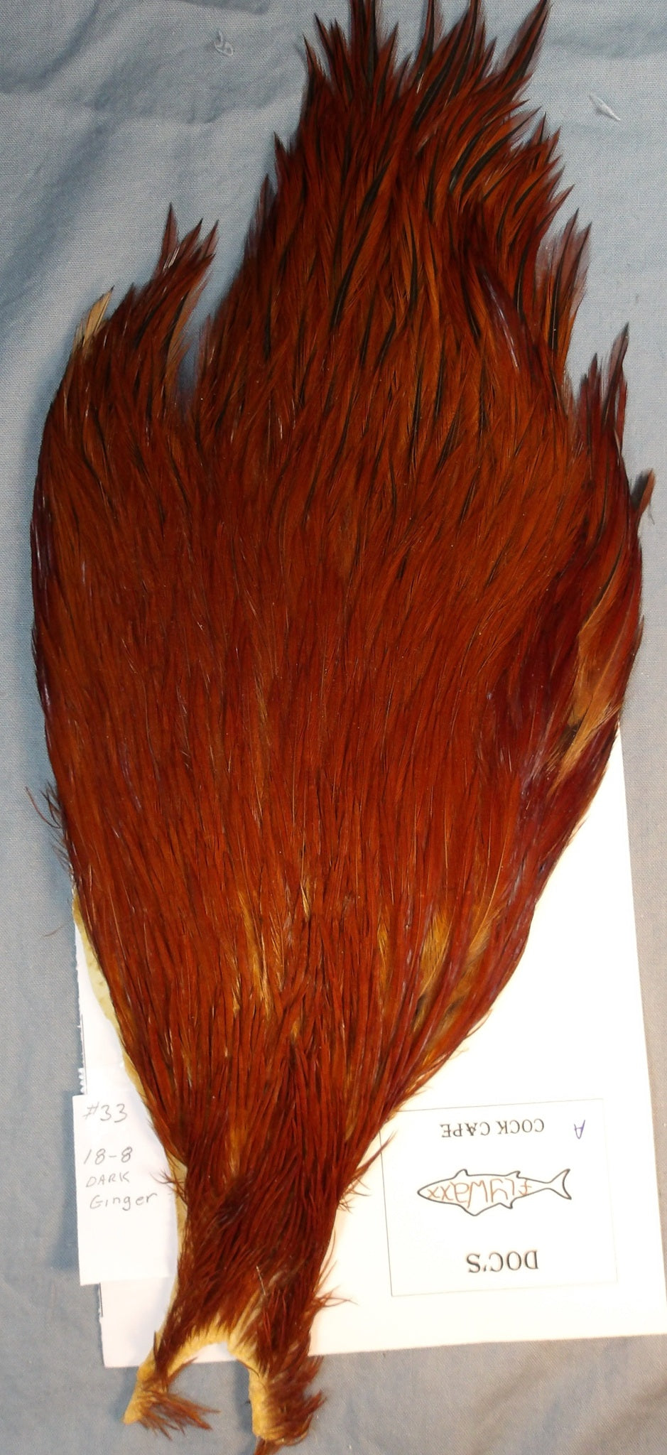 Doc's Cock Cape: #33 Dark Ginger