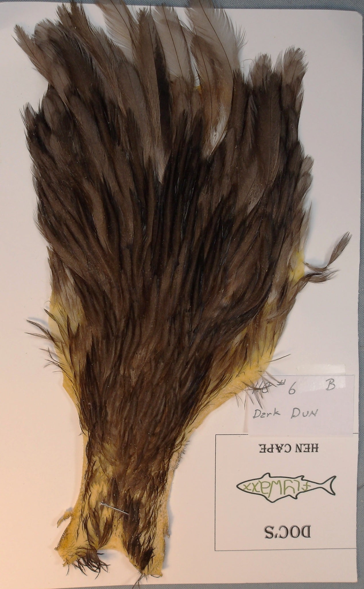 Doc's Hen Cape # 6 Dark Dun