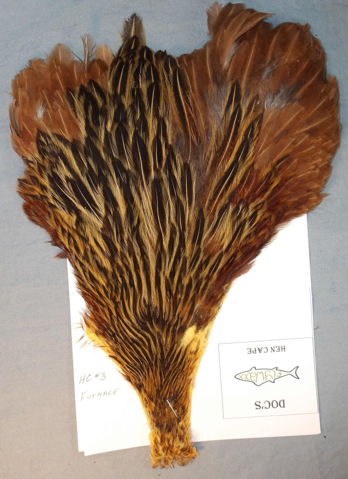 Doc's Hen Cape #3 Furnace