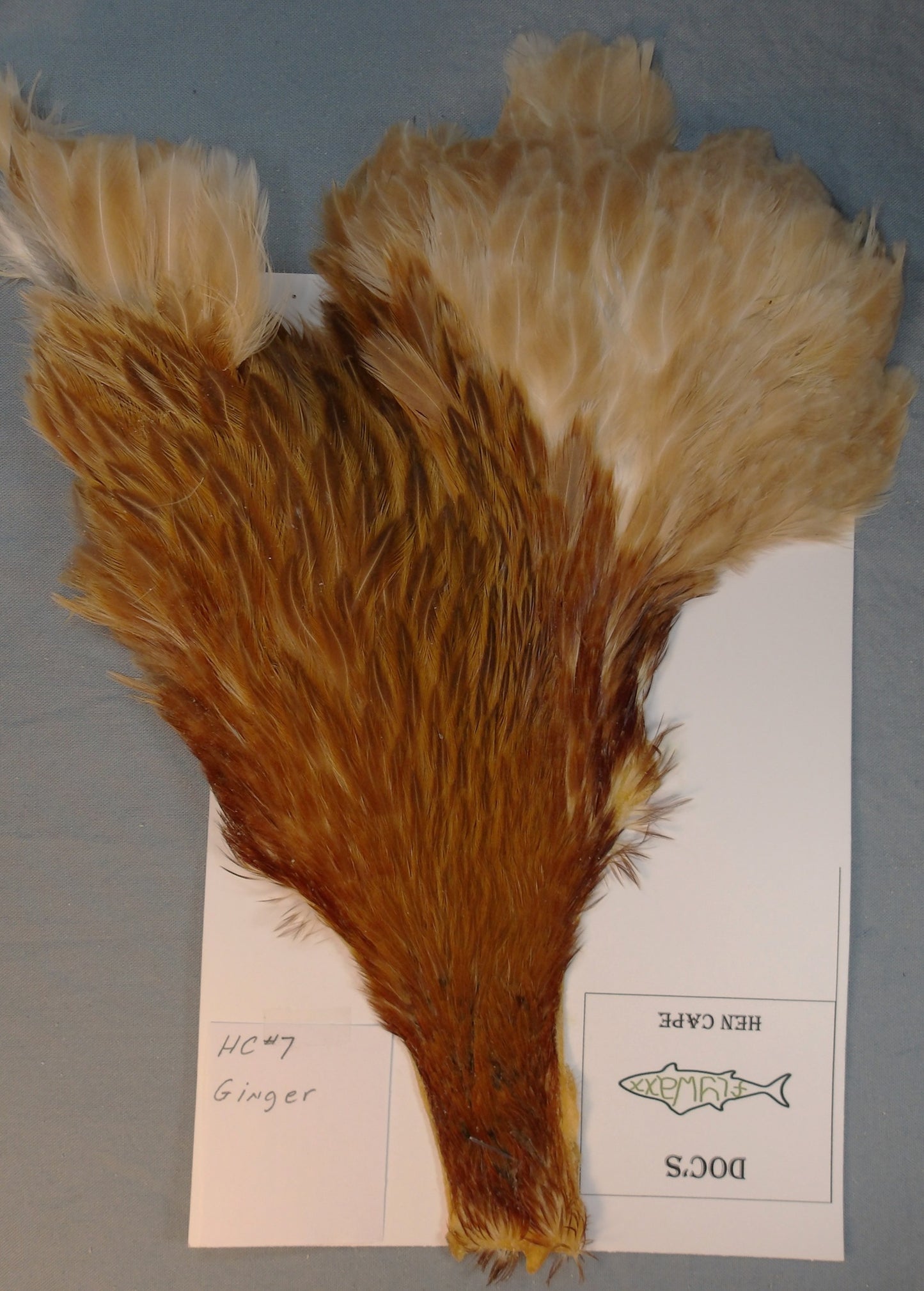 Doc's Hen Cape #7 Ginger