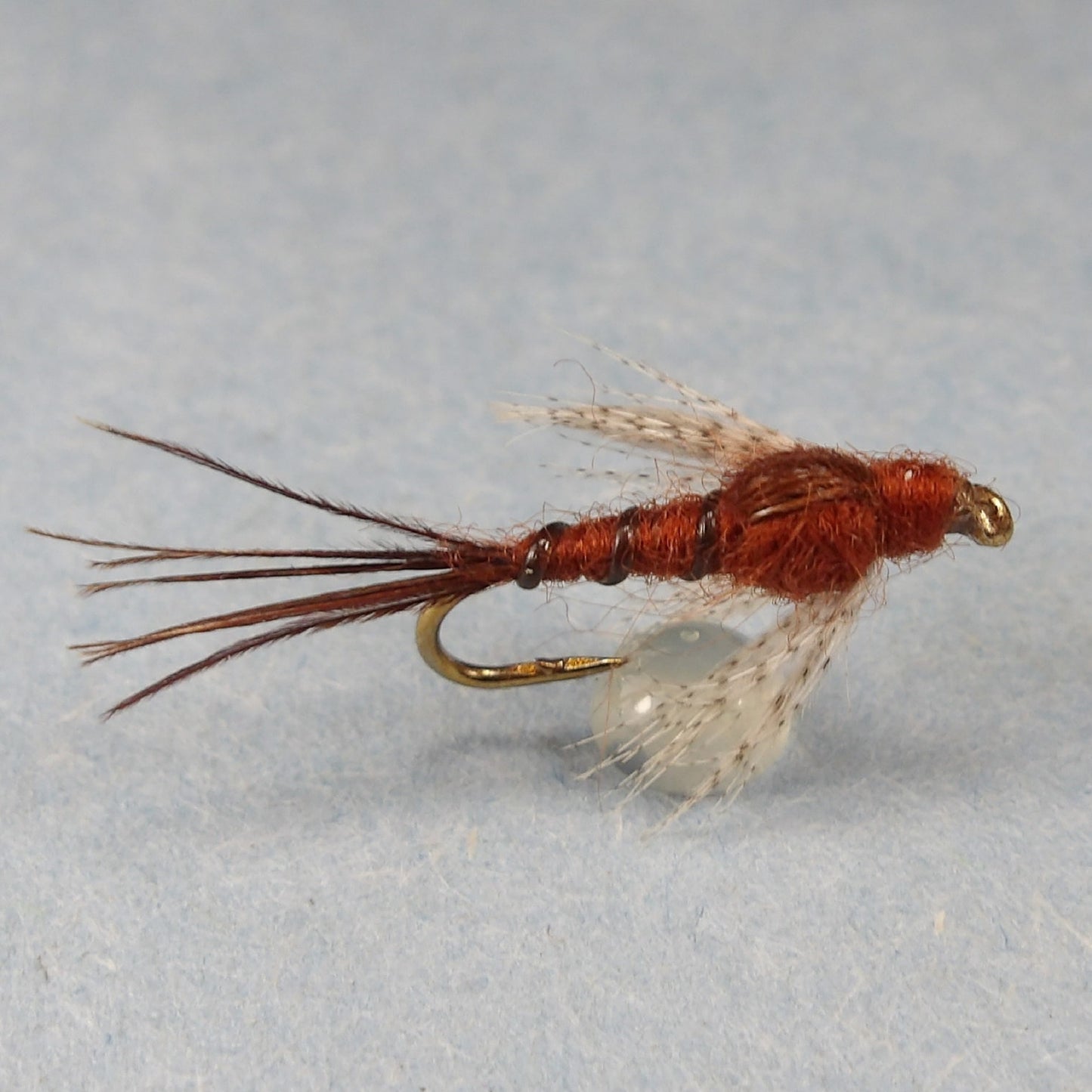 Eastern March Brown Nymph