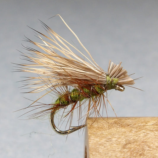 Elk Hair Caddis Olive