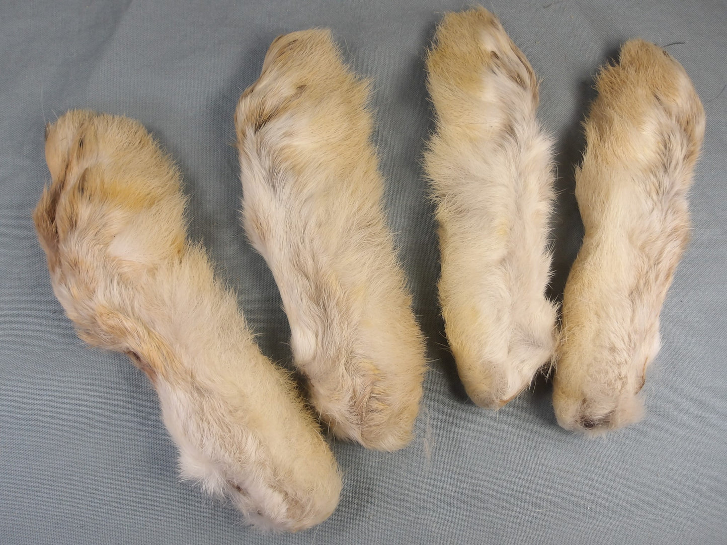 Snowshoe Rabbit Feet from FlyWaxx
