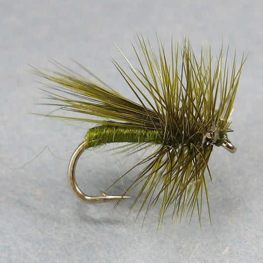Fluttering Caddis Olive