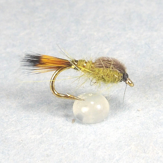 Gold Rib Hare Ear Olive