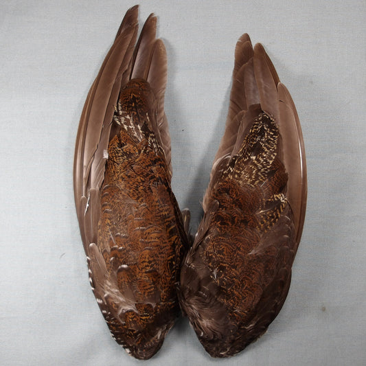 Grouse Wings