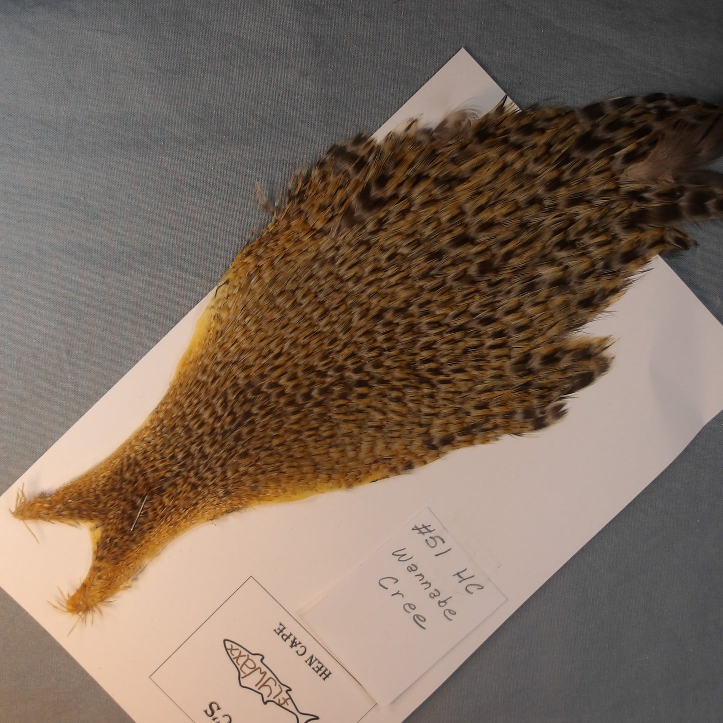 Doc's Hen Cape # 51