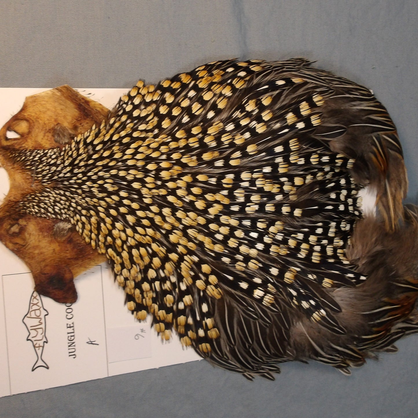 Jungle Cock Neck # 6