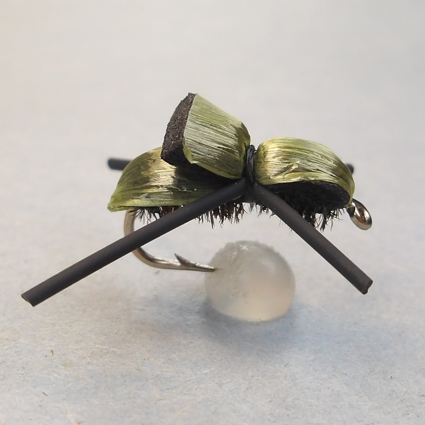 Japanese Beetle
