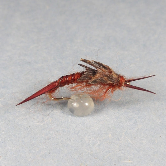Kaufmann Brown Stonefly