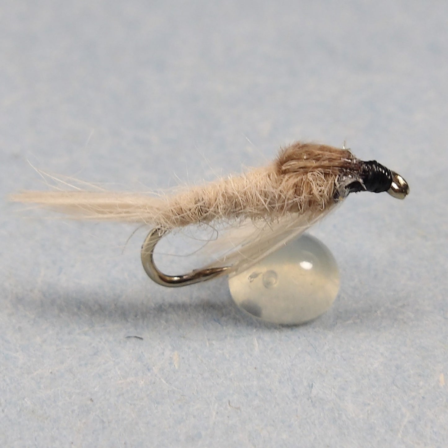 Light Cahill Nymph
