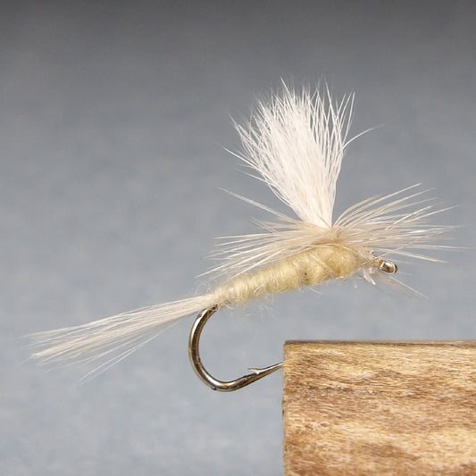 Light Cahill Parachute