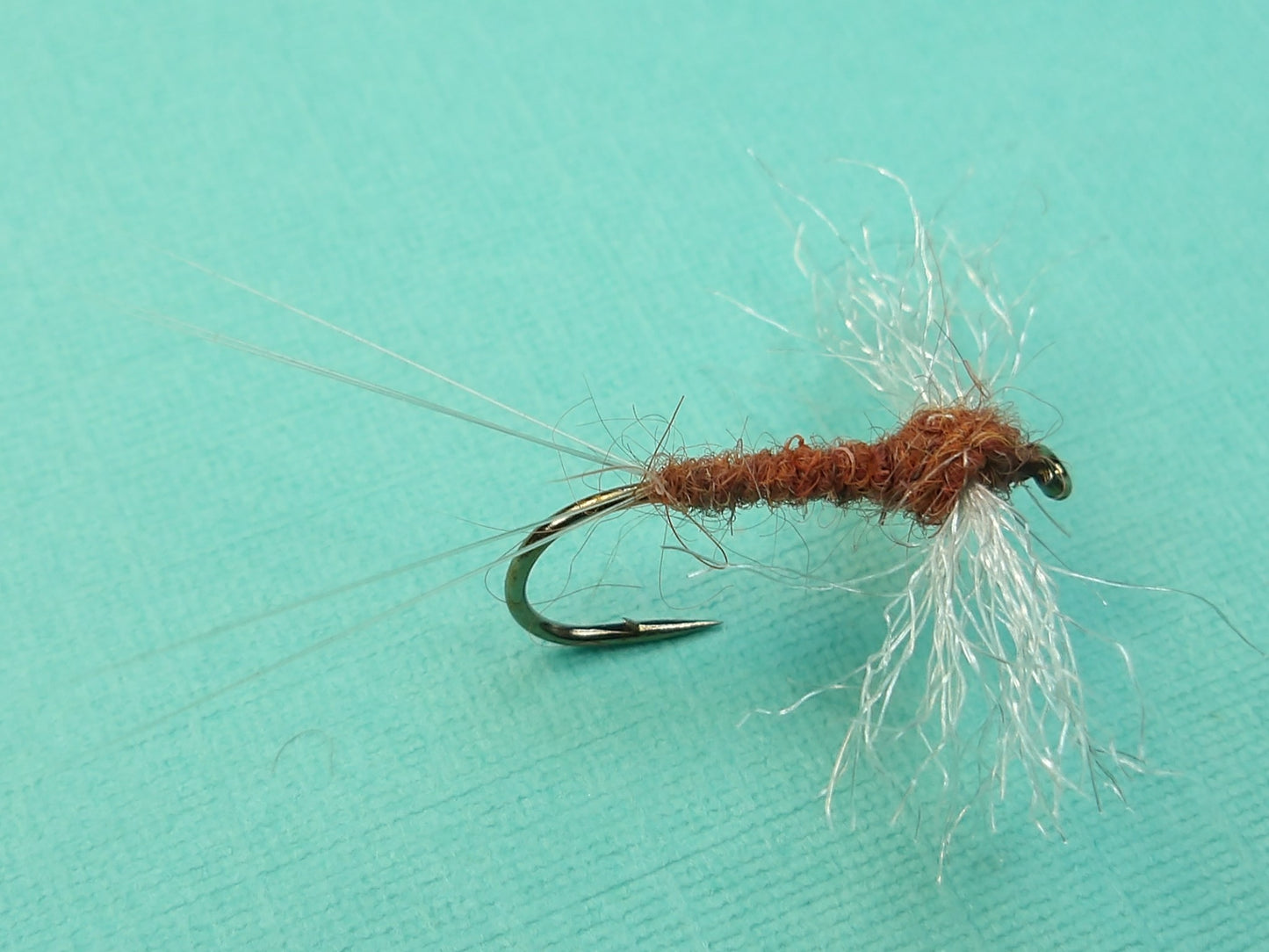 Female Hendrickson Spinner
