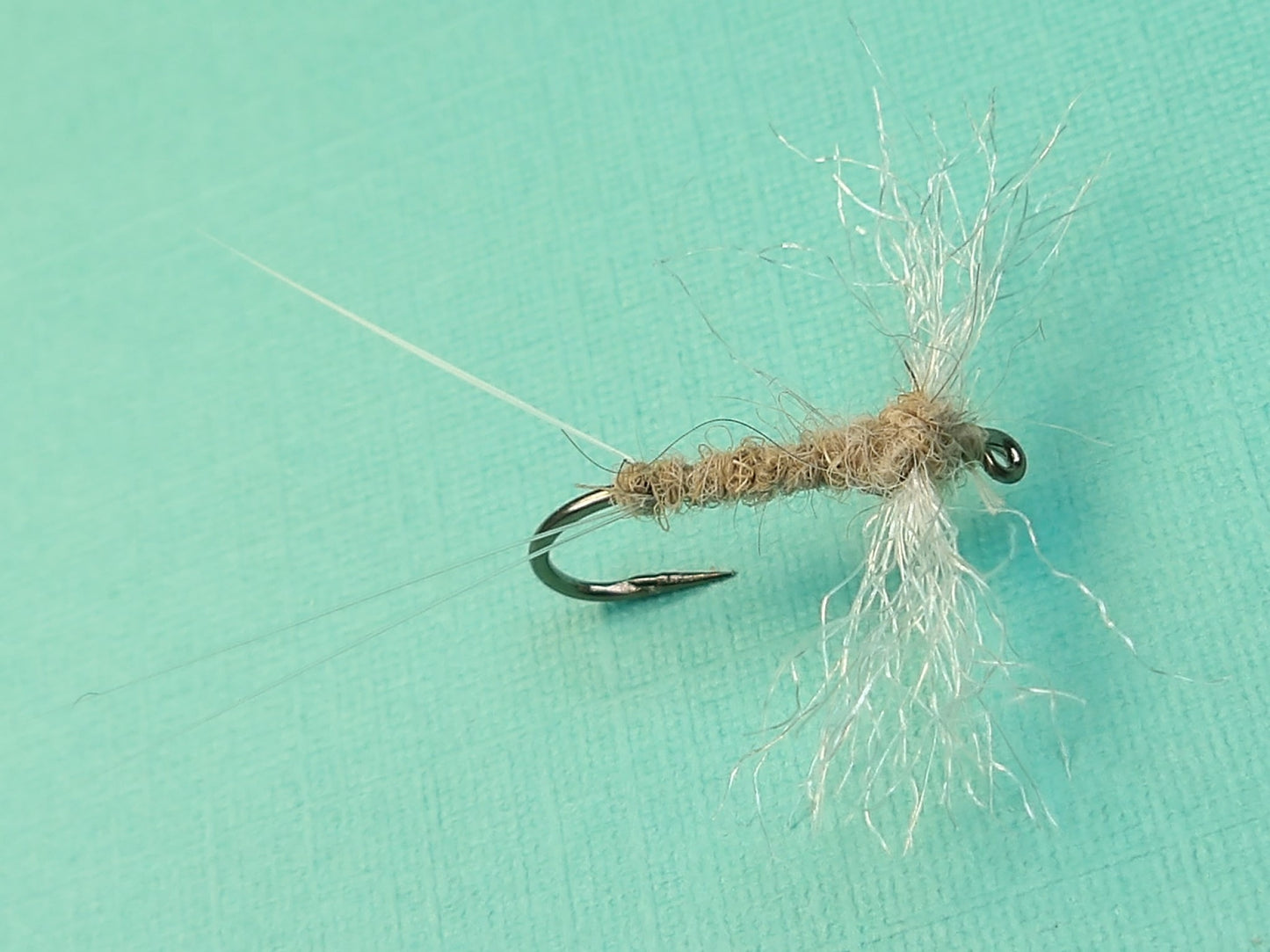Grey Fox Spinner