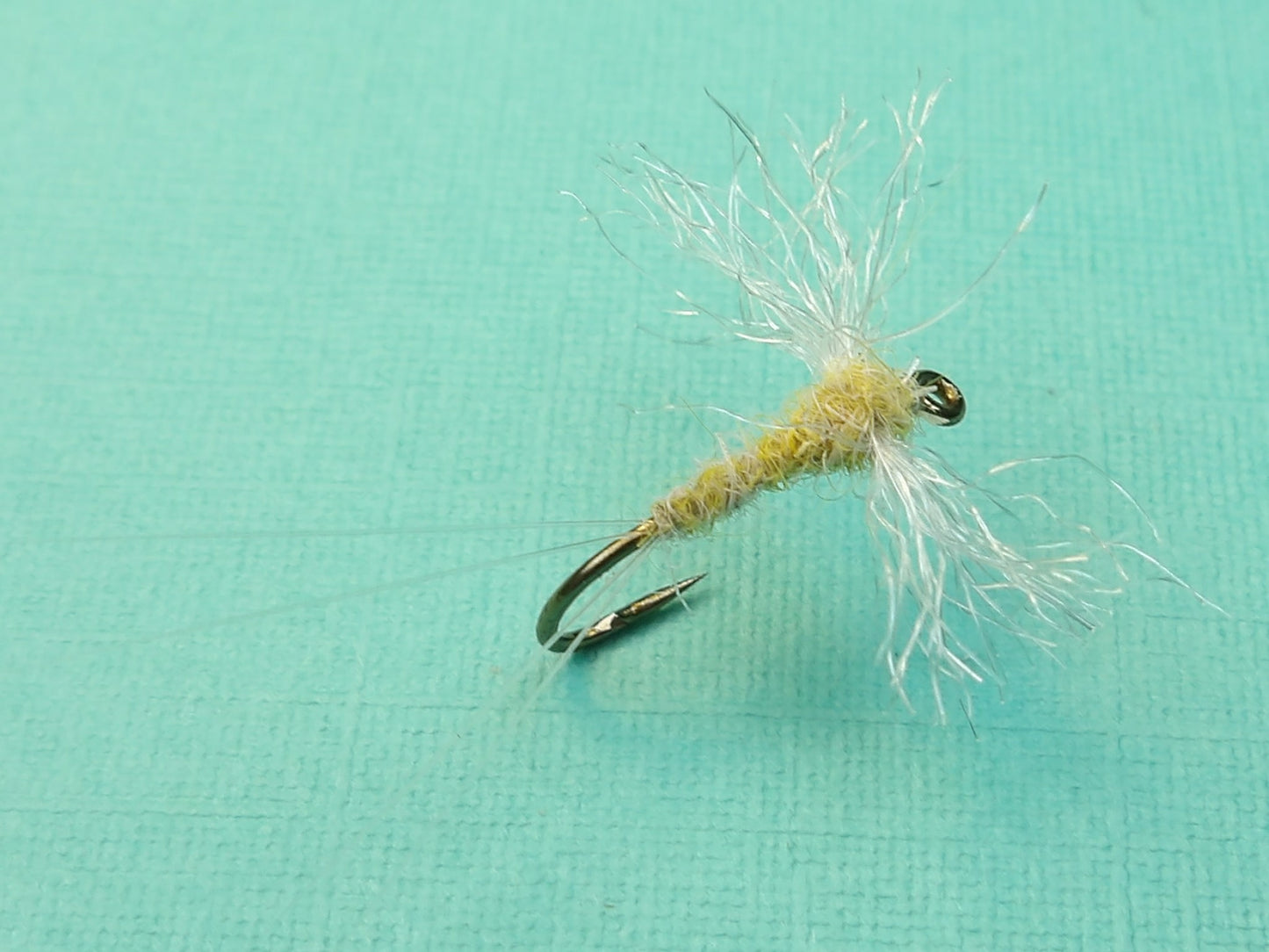 Pale Evening Dun Spinner