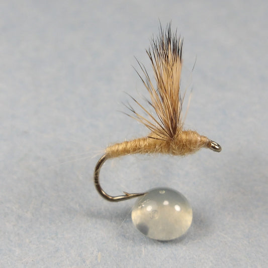 Pale Morning Dun Comparadun