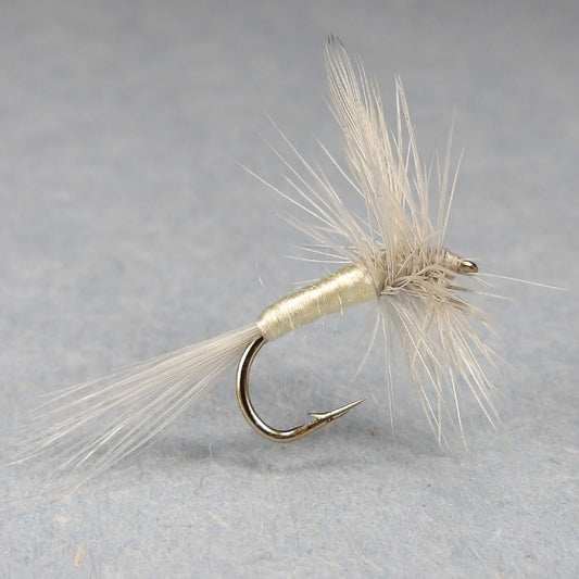 Pale morning Dun (Pale Yellow)