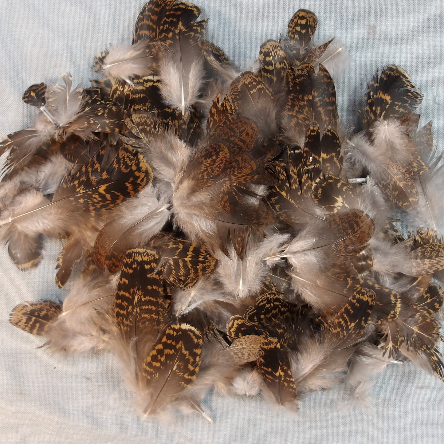 Premium Grouse Body Hackle