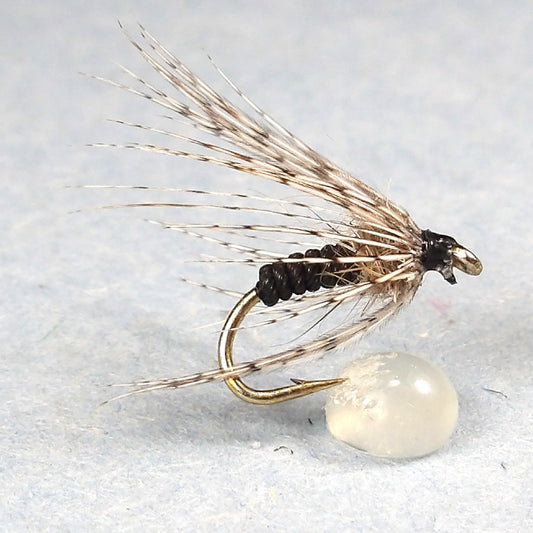 Partridge and Black Spider