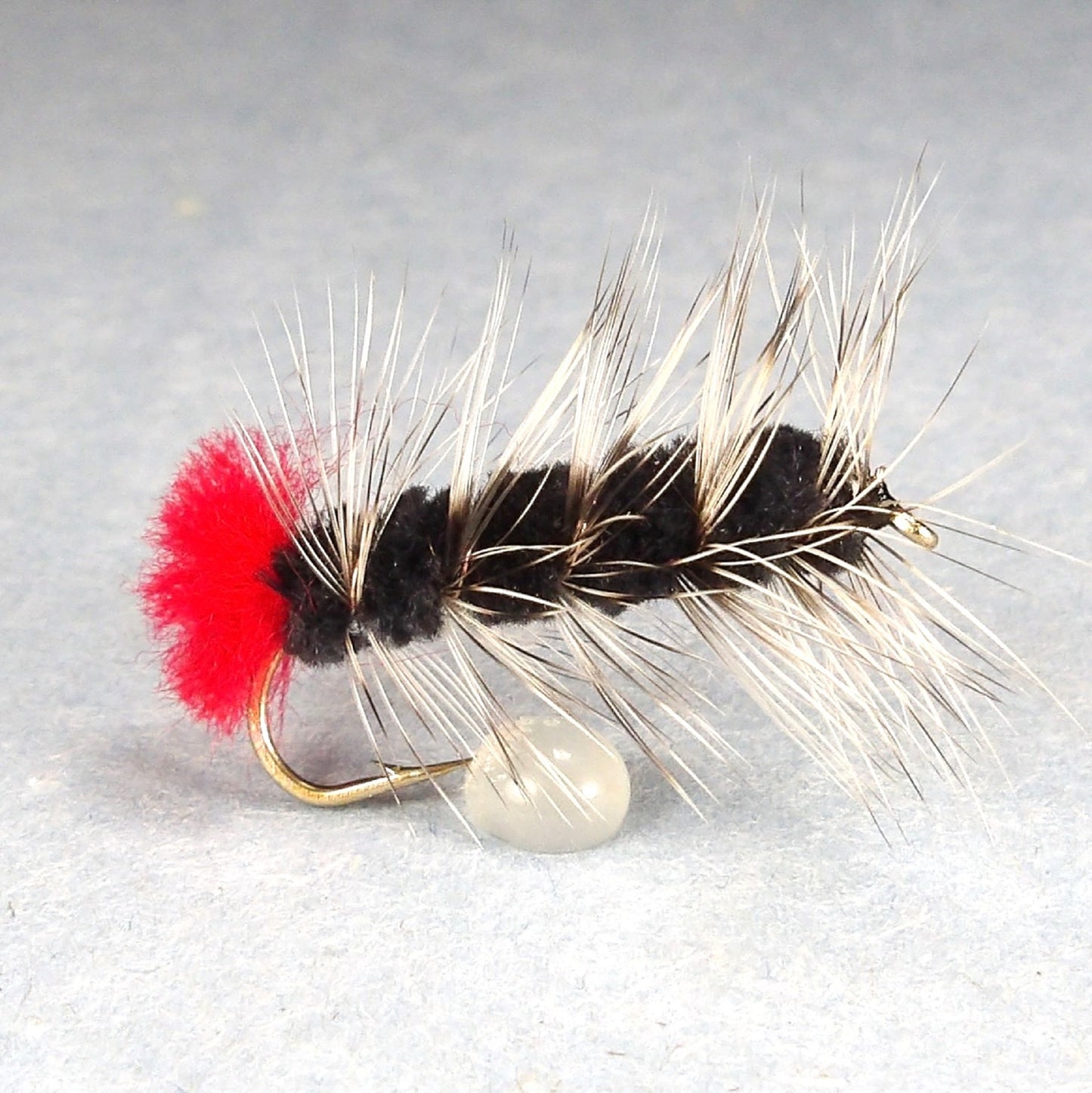 Wooly Worm Black