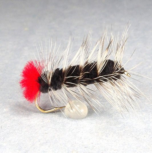 Wooly Worm Black