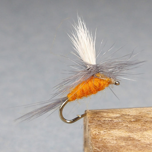 Sulpher Orange Parachute