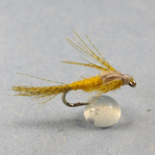 Sulpher Nymph