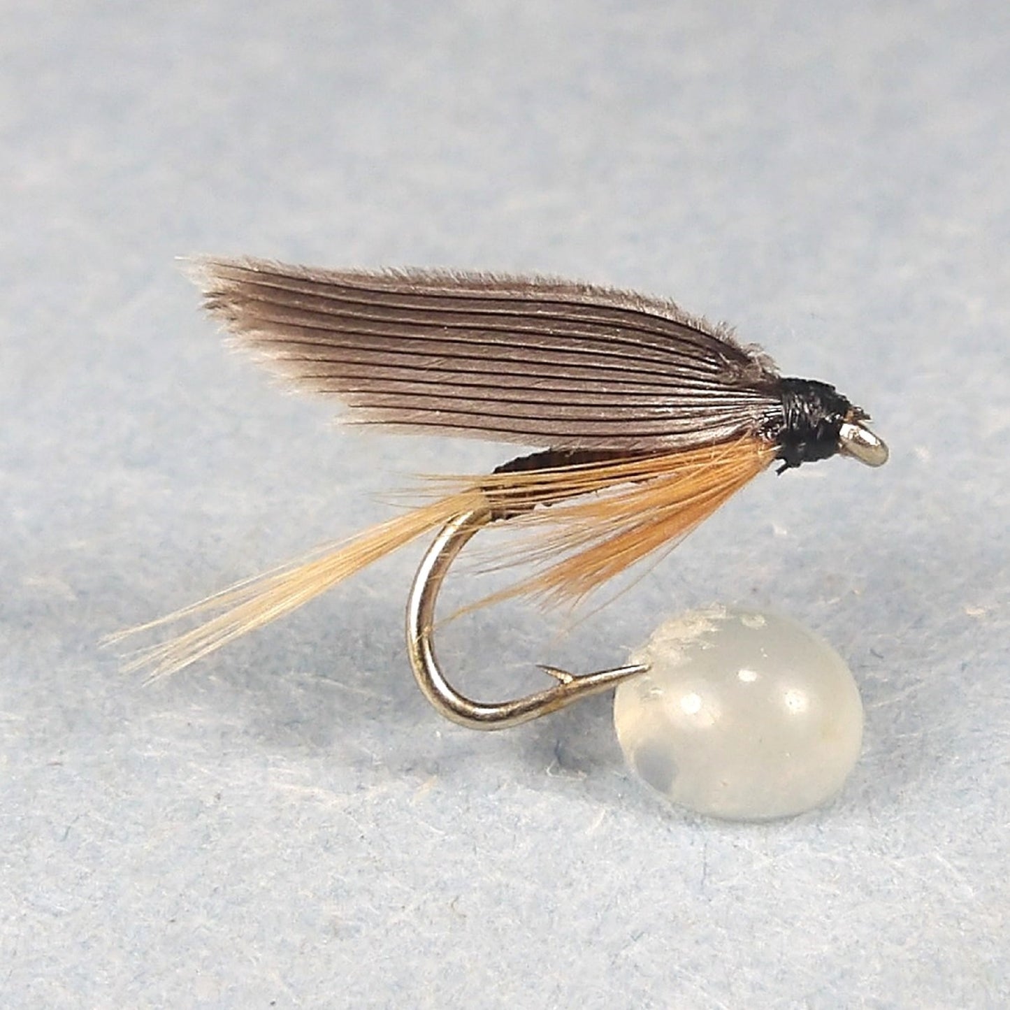 Ginger Quill
