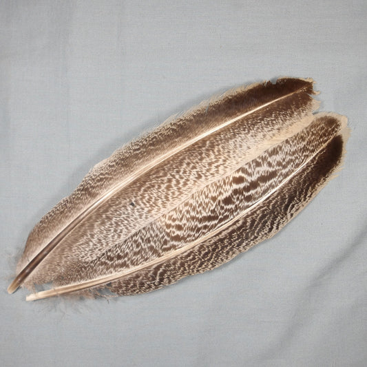 Turkey Quill Mottled Oak #3