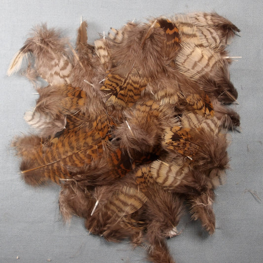 Woodcock Body Plumage