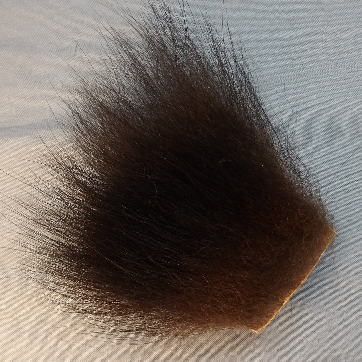 Black Bear Fur Piece